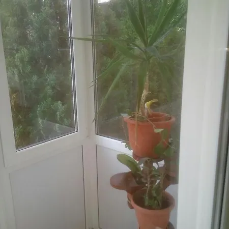 Apartament Apartament Dobrila Eugeniu Konstanca
